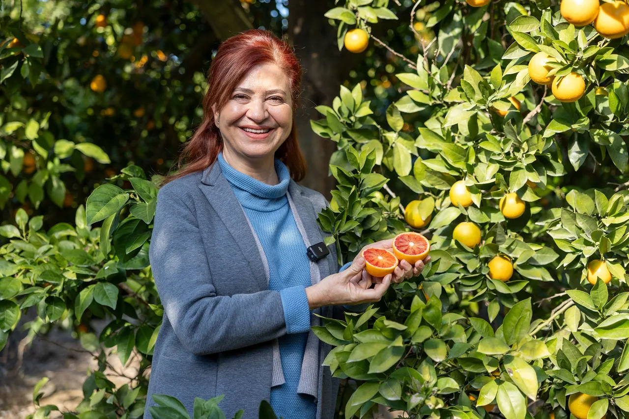 Mersin kan portakalının yeni hedefi!