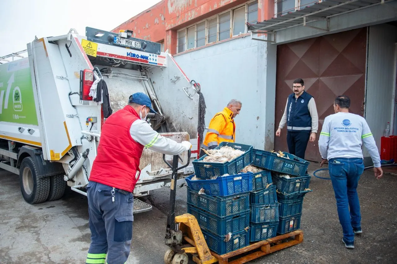 Bozuk tavuklar imha edildi