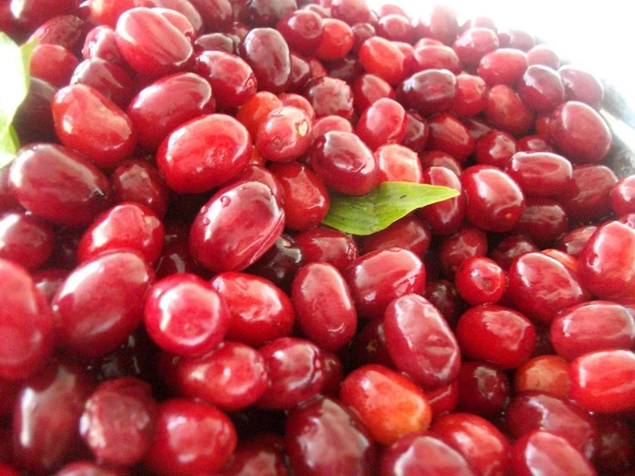 İsmi de faydaları da çok bilinmiyor