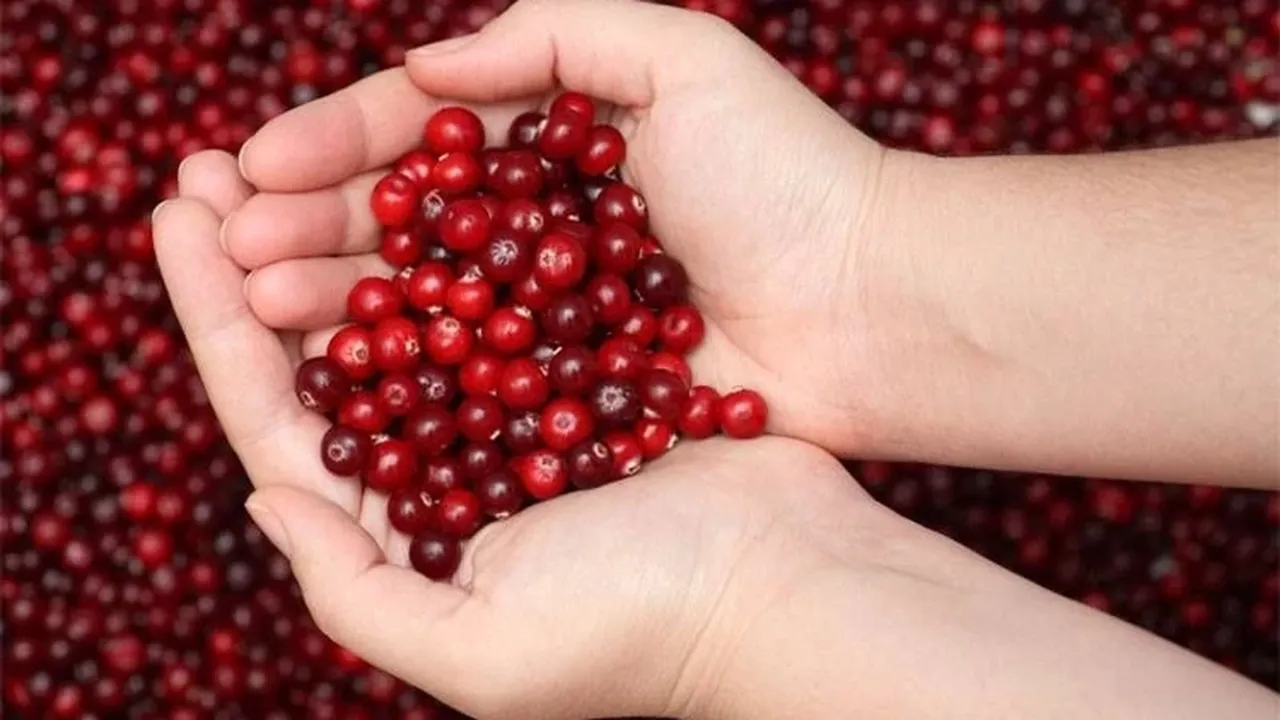 İçinde çok sayıda mineral ve vitamin var