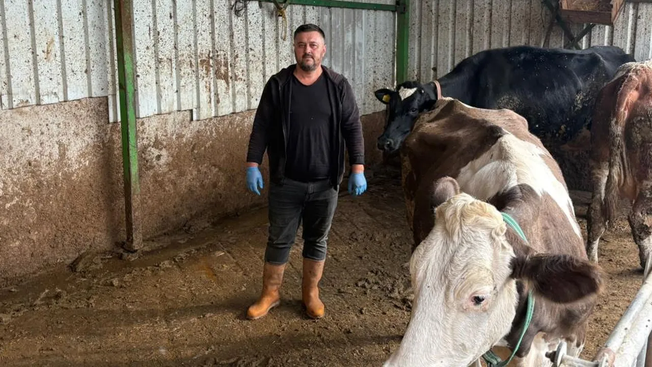 1.5 milyon TL zararı vardı! Şap bir hayvanını daha kaybettirdi