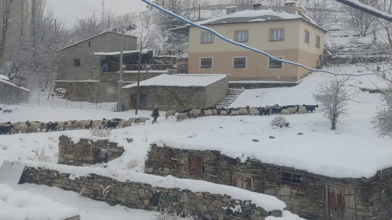 50 santim kar var! Van'da Kapalı yollar açıldı, ekipler 7-24 çalışıyor