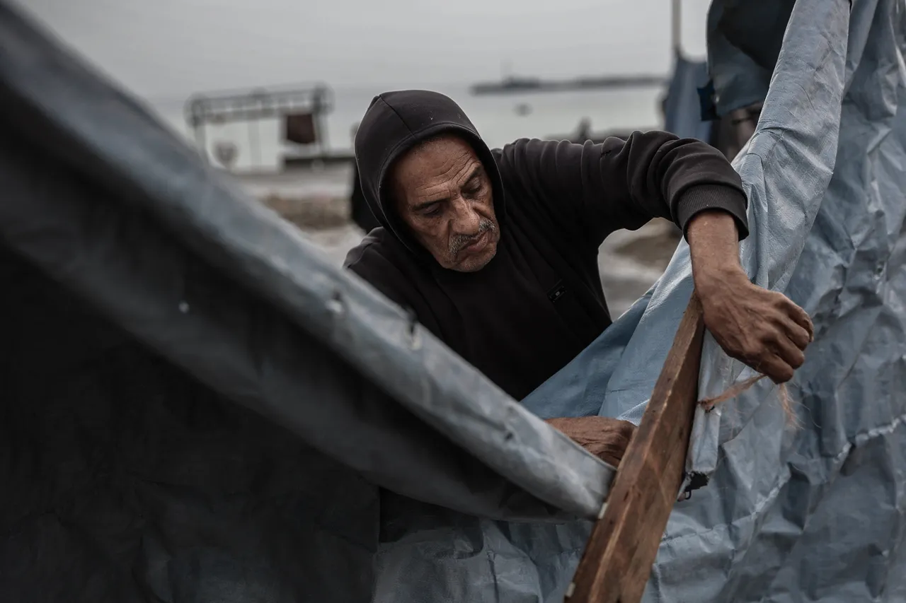 ABDli Kongre üyesinden skandal açıklama!  Ana akım Müslümanlar yok edilmeli