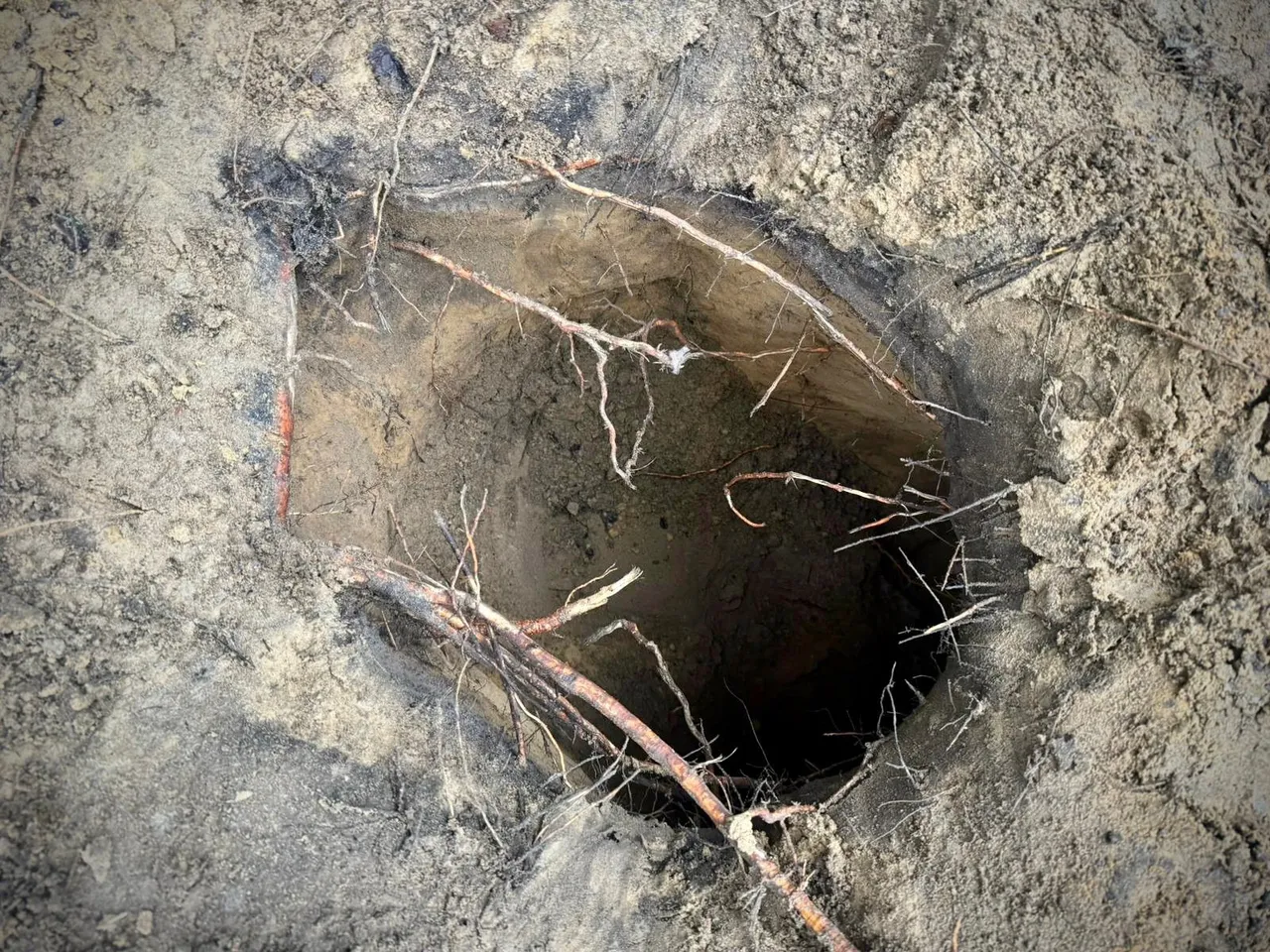 Belarusta kaçak göçmenler tünel kazarak Polonyaya geçti