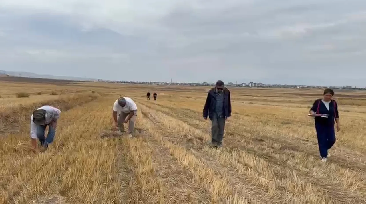 Bin yıllık sır çözülüyor! Merzifon Savaşı'nda haçlılara pusu kurulan kale bulundu