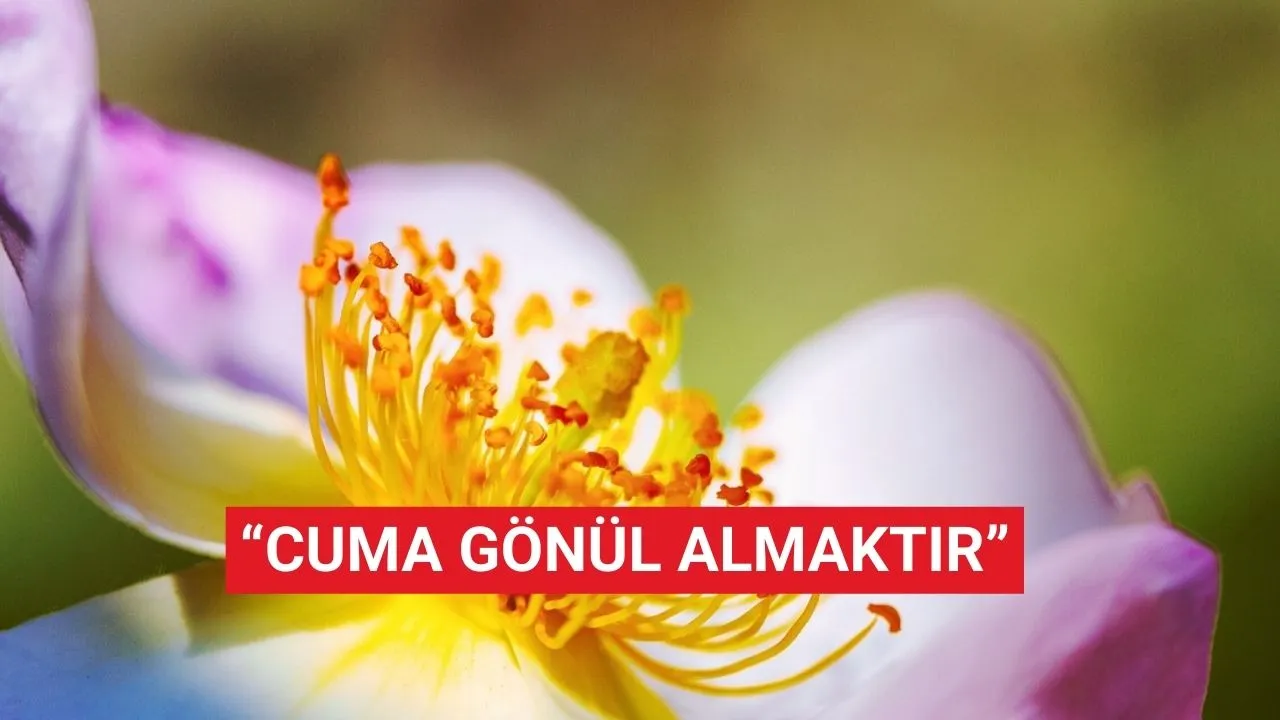 Cuma mesajları (tek cümlelik-uzun): Cuma ruhu dinlendiren bir armağandır