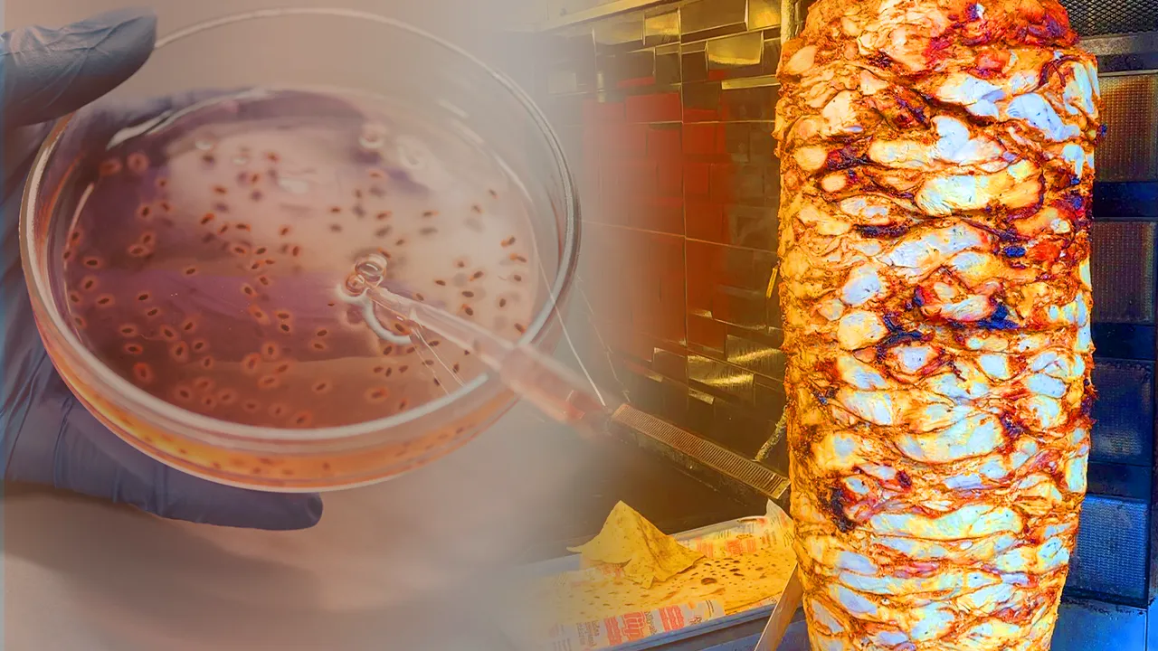 Her yaş grubu risk altında! Et, tavuk, yumurtadan bulaşan ölümcül bakteri