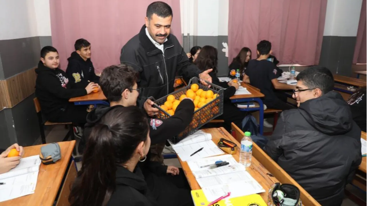 Kilosu 2 TL'ye düşünce çürümeye terk edilmişti! Belediye hepsini alıp vatandaşa bedava dağıttı