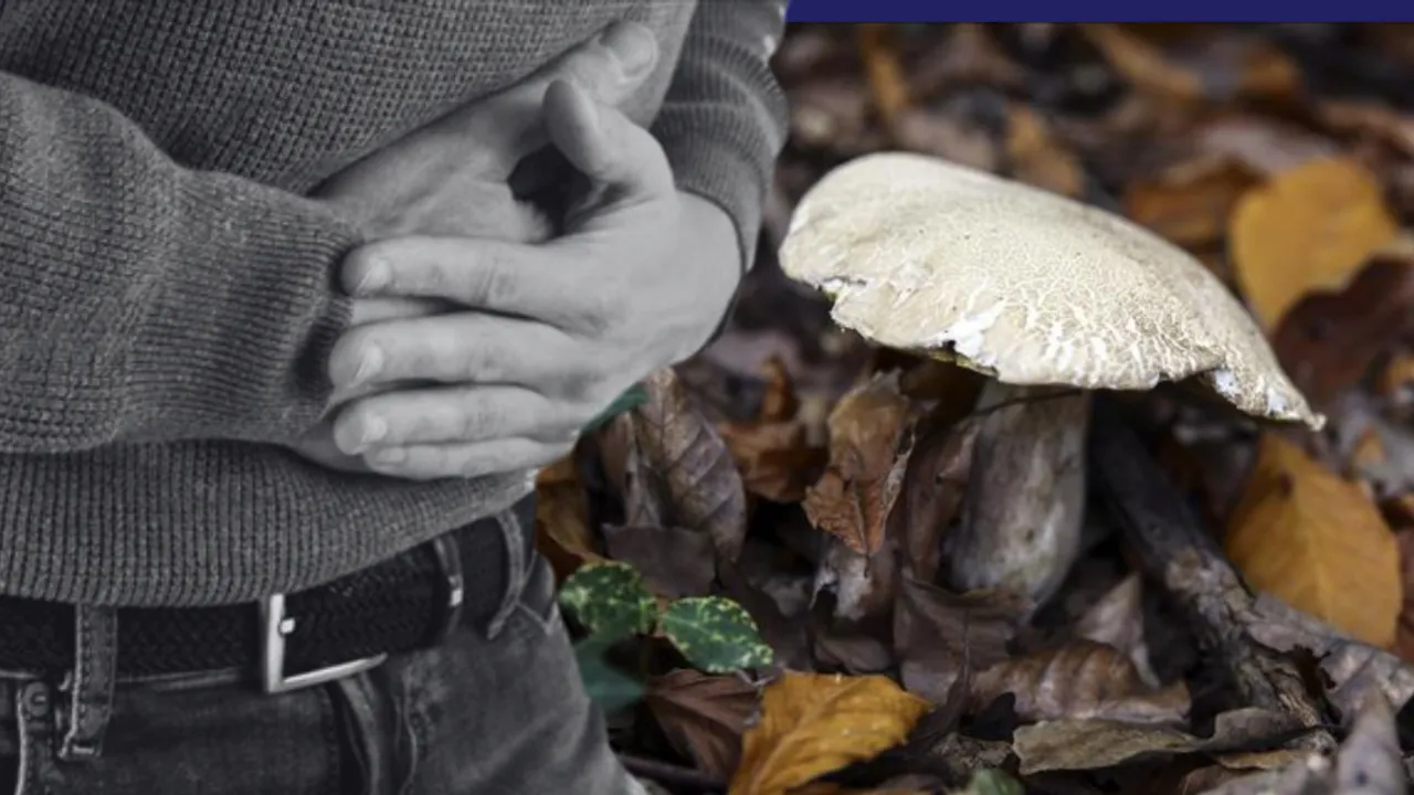 Mantardan ölümlerde yüzde 95 bu tür sorumlu: Belirtiler 6 saat içerisinde başlıyor