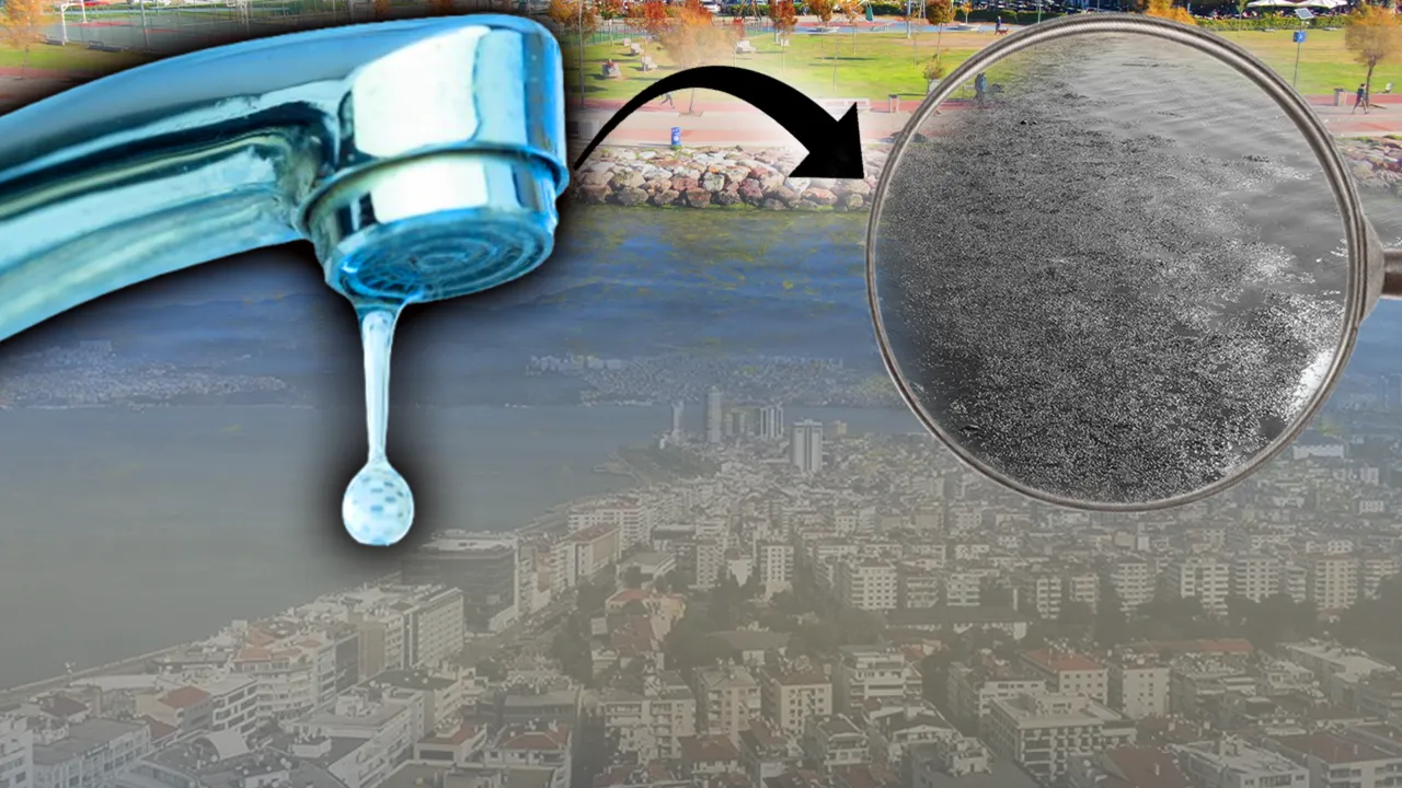 Susuzluk alarmı verilen İzmir’de şimdi de ‘yeşil’ alarm! Deniz marulu her yeri istila etti 