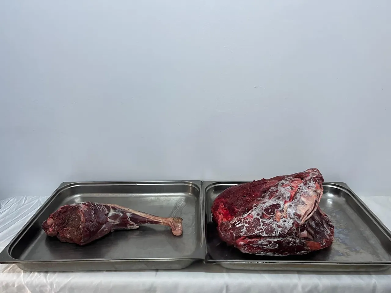 Avlanmanın cezası ağır oldu! Kesilen ceza neredeyse 1 milyon lira