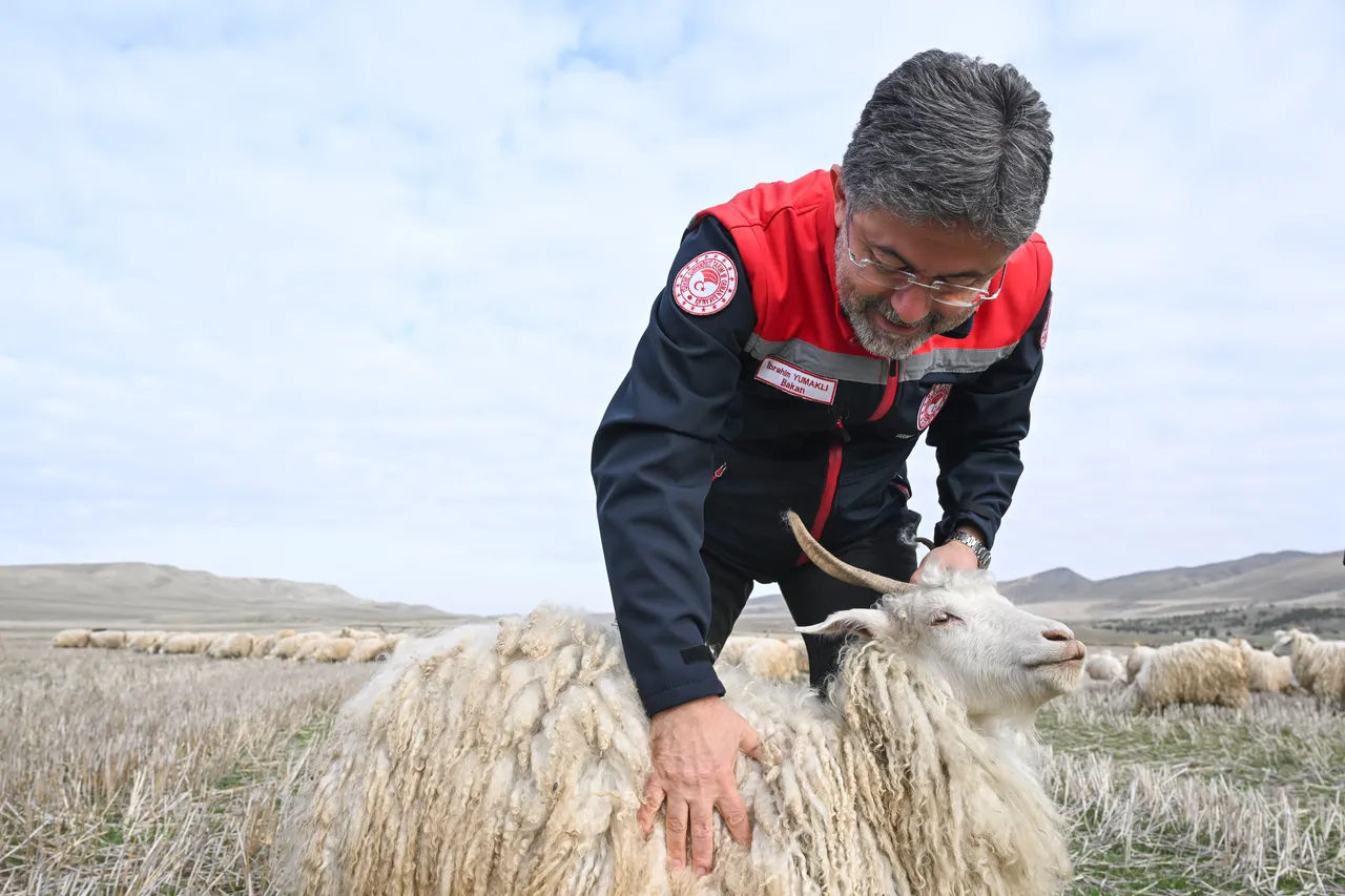Bakan Yumaklı açıkladı: Tiftiği ciddi bir potansiyel olarak görüyoruz!