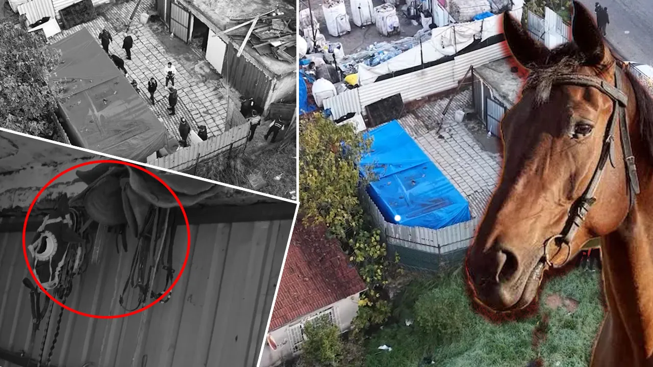 İstanbul'un göbeğinde 'at kesimi' skandalı! Depoya baskın yapıldı 