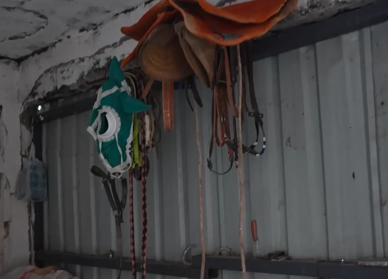 İstanbul'un göbeğinde 'at kesimi' skandalı! Depoya baskın yapıldı