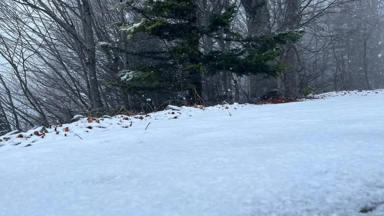 İstanbul'un yanı başı bembeyaz! Kar aniden bastırdı