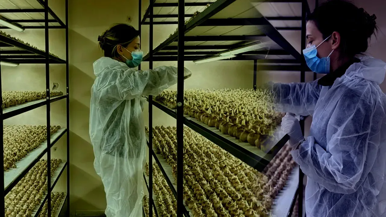 BU İŞ İÇİN MESLEĞİNDEN VAZGEÇTİ!