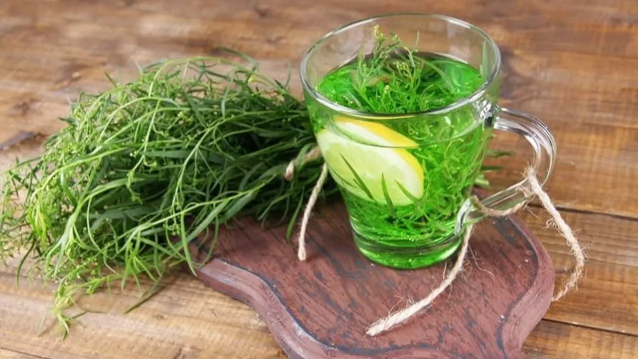 Tarhun Otu nedir, nasıl kullanılır, faydaları neler? Tarhun baharatının kullanıldığı yemekler