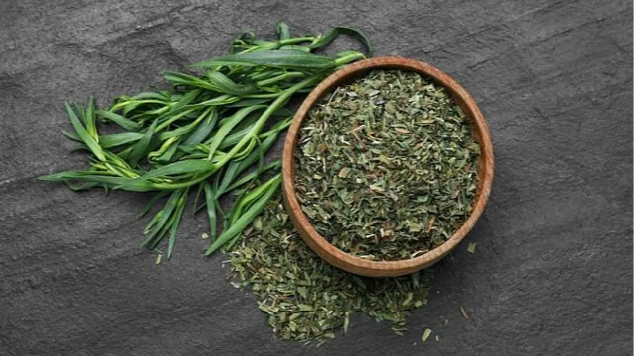 Tarhun Otu nedir, nasıl kullanılır, faydaları neler? Tarhun baharatının kullanıldığı yemekler