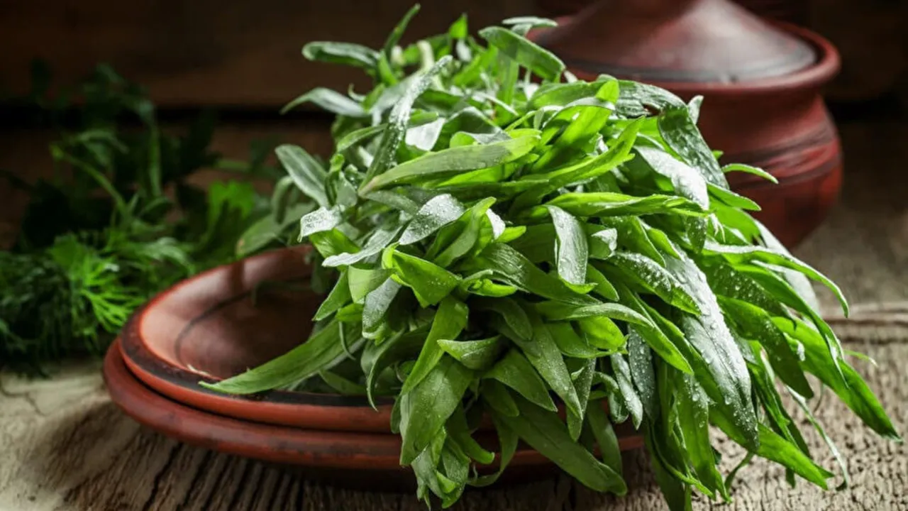 Tarhun Otu nedir, nasıl kullanılır, faydaları neler? Tarhun baharatının kullanıldığı yemekler