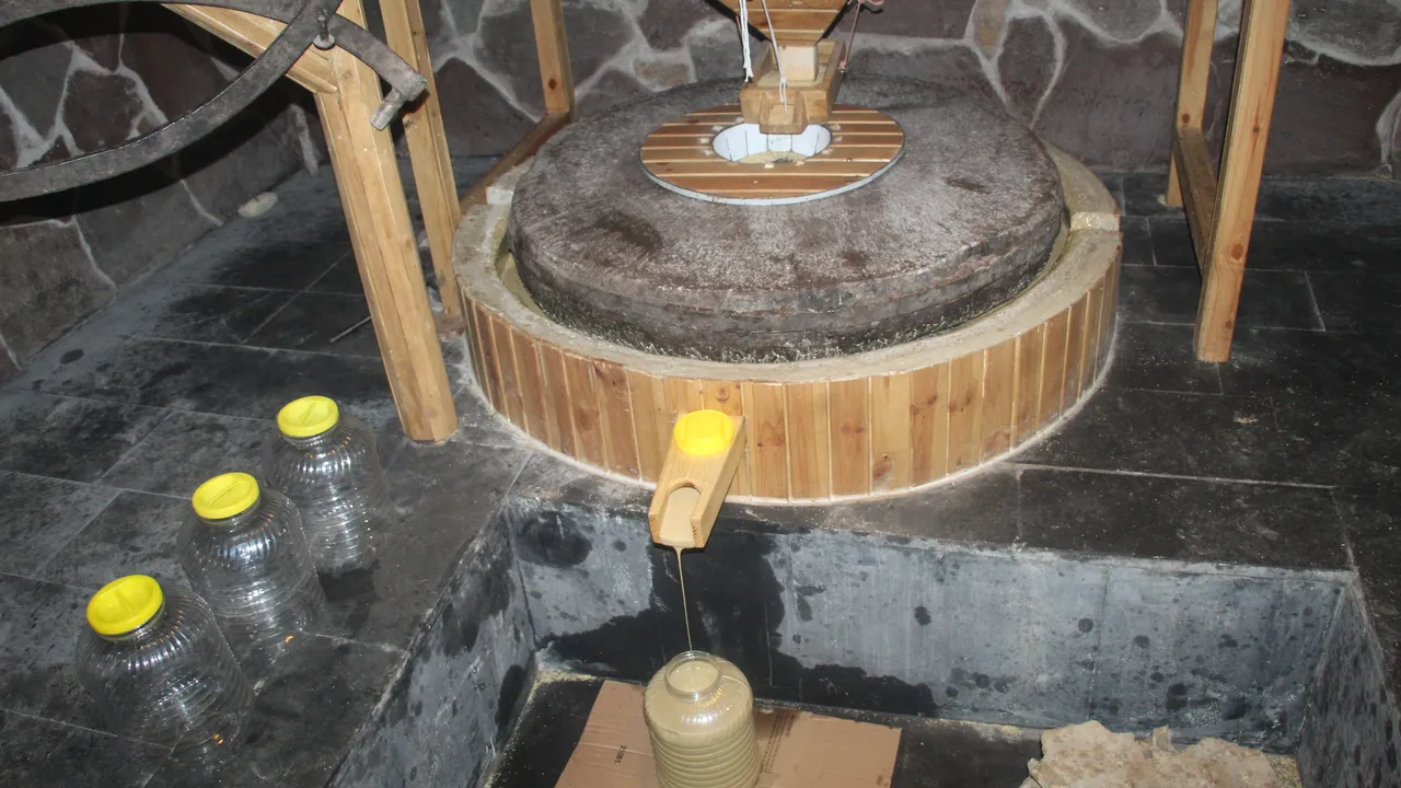 Coğrafi işaretli tahin üretimi yapılıyor