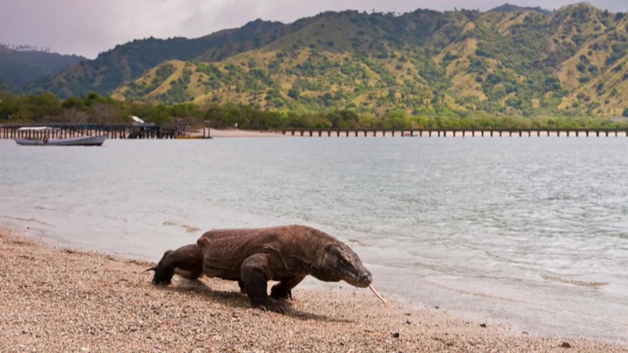 Abu Dhabi’den Japonya’ya: 2026’nın en iyi seyahat rotaları açıklandı!