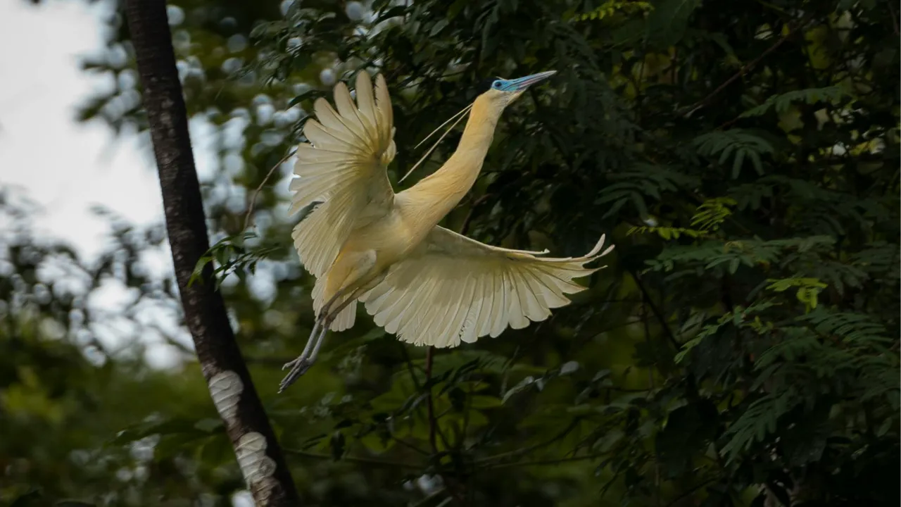 Abu Dhabi’den Japonya’ya: 2026’nın en iyi seyahat rotaları açıklandı!