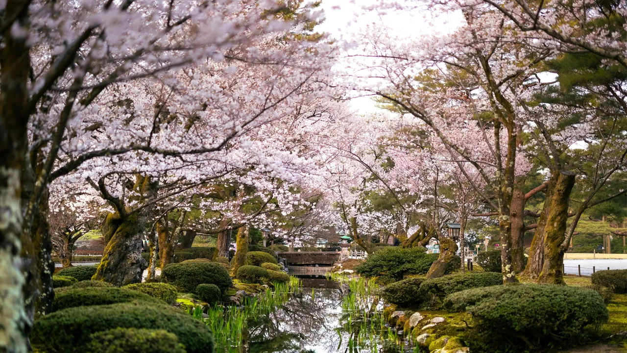 Abu Dhabi’den Japonya’ya: 2026’nın en iyi seyahat rotaları açıklandı!