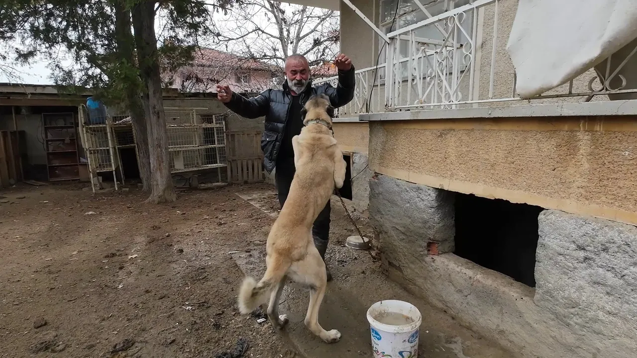 Asgari ücret yerine köyde üretimi seçti, kazanan oldu