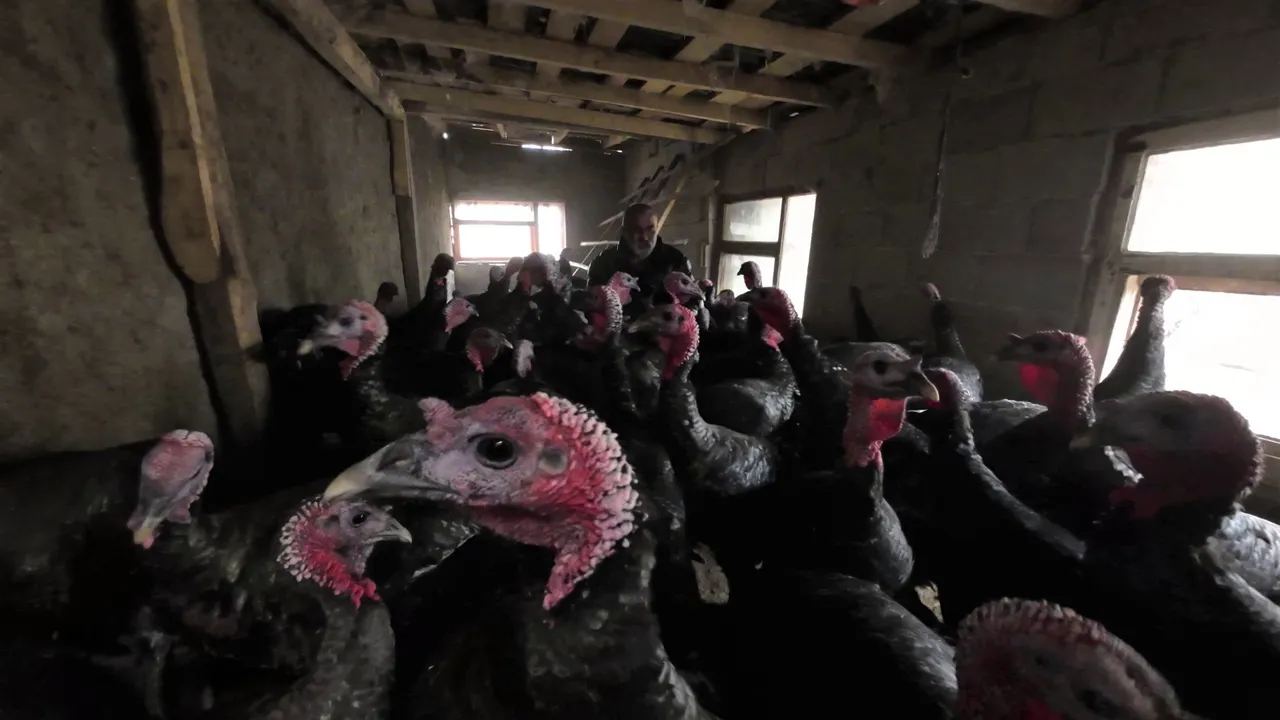 Asgari ücret yerine köyde üretimi seçti, kazanan oldu