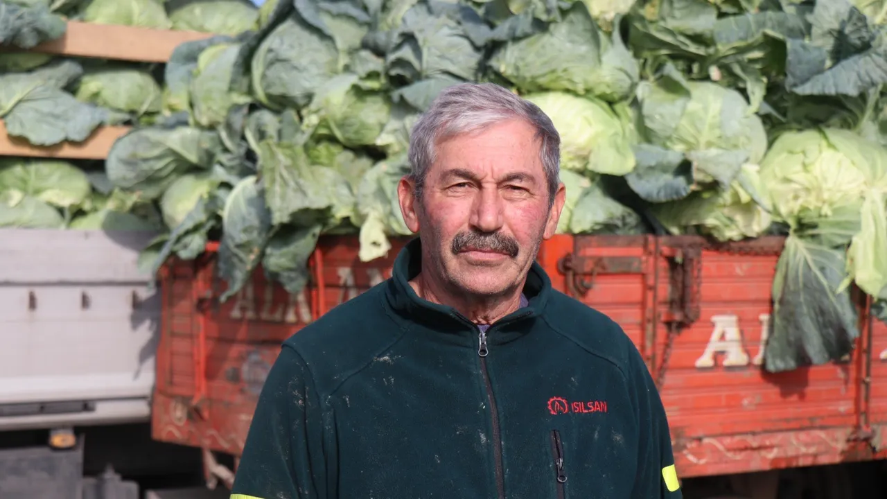 Bir mahalle bütün tarlalara aynı ürünü ekti sonu hüsran oldu: Market fiyatıyla arasındaki makas 5 kat arttı