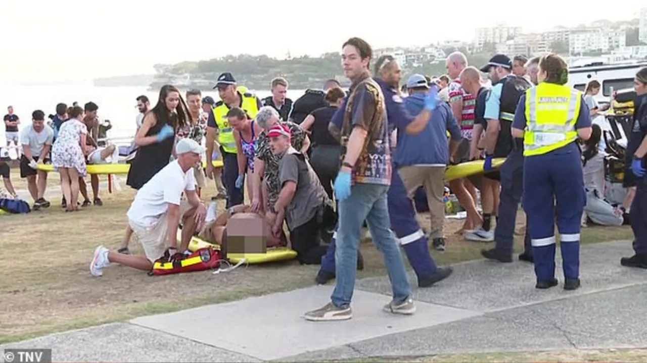 Dünya bu görüntüleri konuşuyor! Sidney saldırganını böyle durdurdu