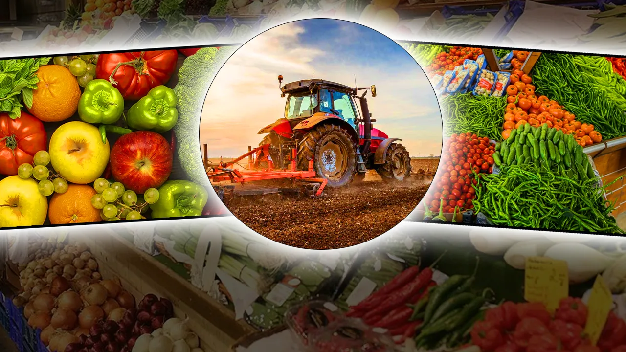 Gıda güvenliğinde yeni dönem! Bakan Yumaklı duyurdu, Ocak ayında 4 ilde başlıyor 