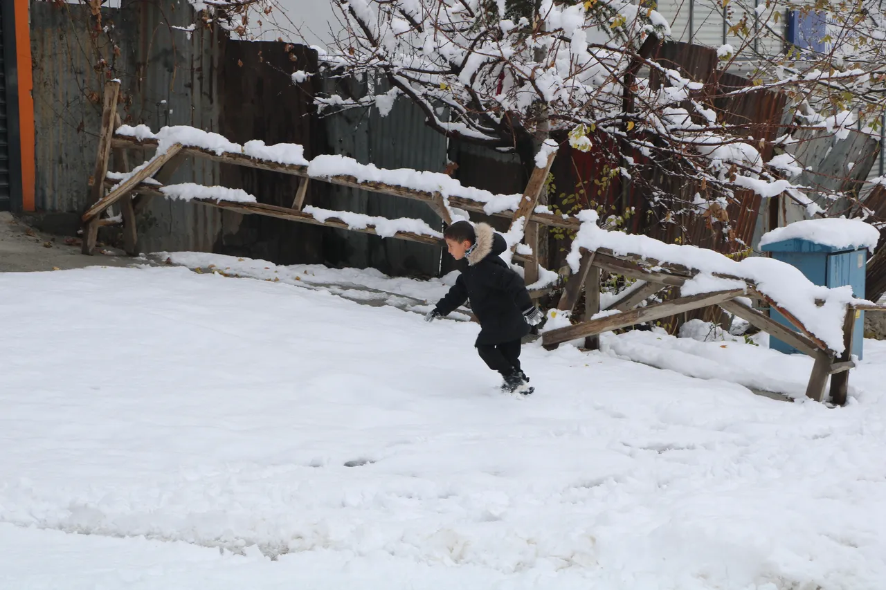 Hakkari ve Van kar altında kaldı! Kapanan yollar tek tek açıldı
