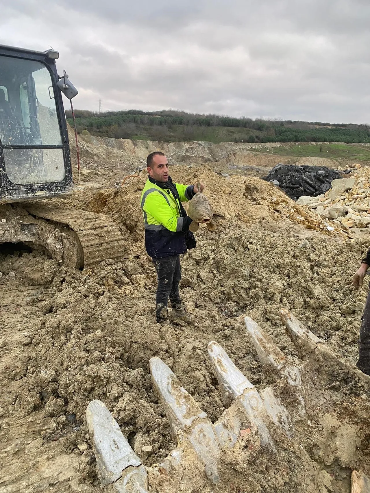 İş makineleri ölü balıklarla karşılaşıyor.