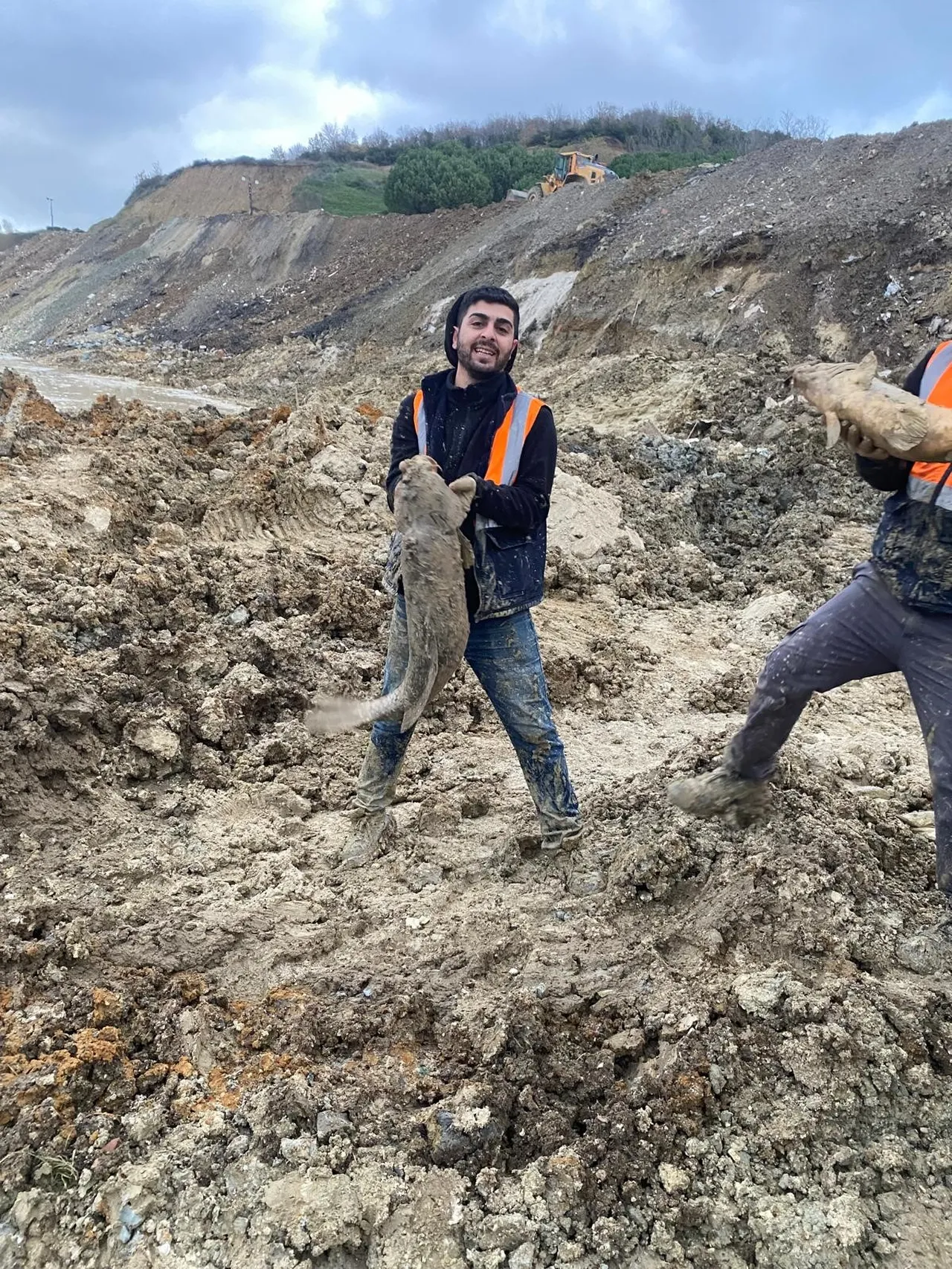 Bazı balıklar büyüklükleriyle çalışanların dikkatini çekti