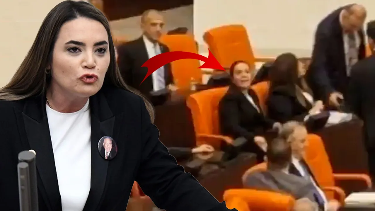 Ayyüce Türkeş'in sözleri DEM Partilileri ayağa kaldırdı: Katil olarak geberecek