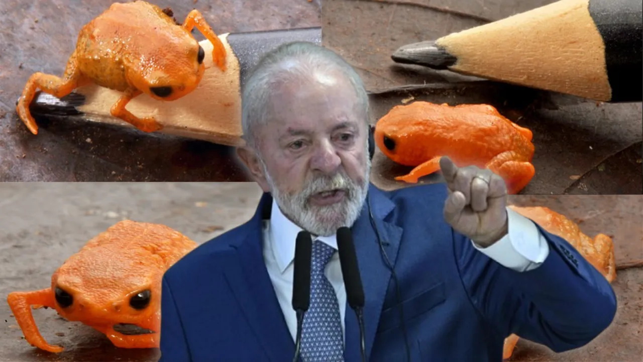 Brezilya Devlet Başkanı'nın adı verildi! Bezelye büyüklüğünde kurbağa keşfedildi