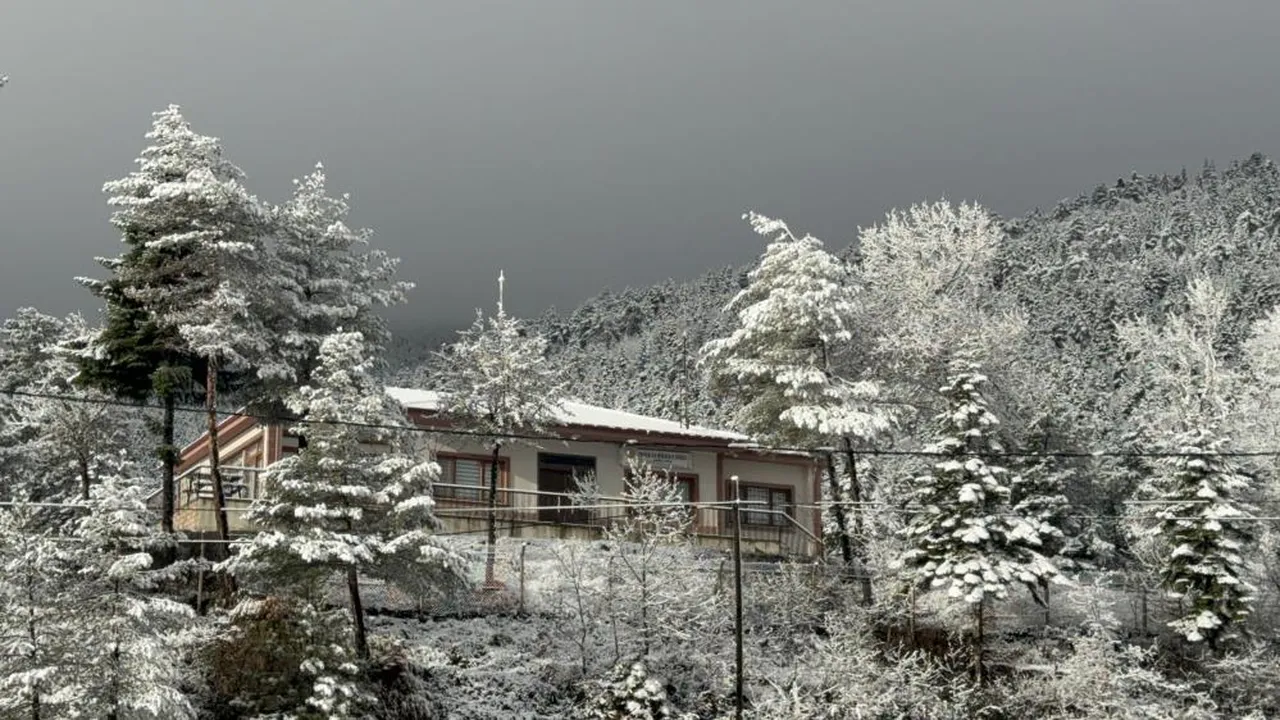 Bu yola giren sürücüler çıkmak istemiyor! Gören telefonuna sarılıyor, araçlar bekliyor