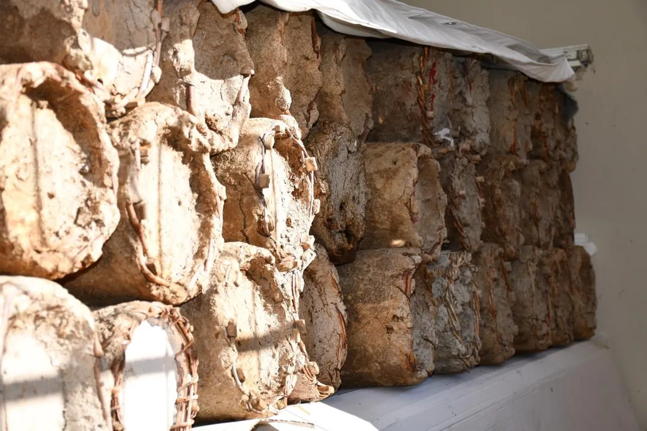 Evinin en güzel odasını arılarına tahsis etti: Balın kilosunu 10 bin TL'den satıyor