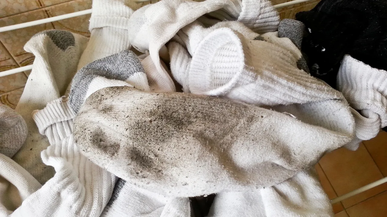 Her gün değiştirmek sandığınızdan daha önemli! Kirli çorapların barındırdığı gizli tehlike: 9 milyon bakteri...