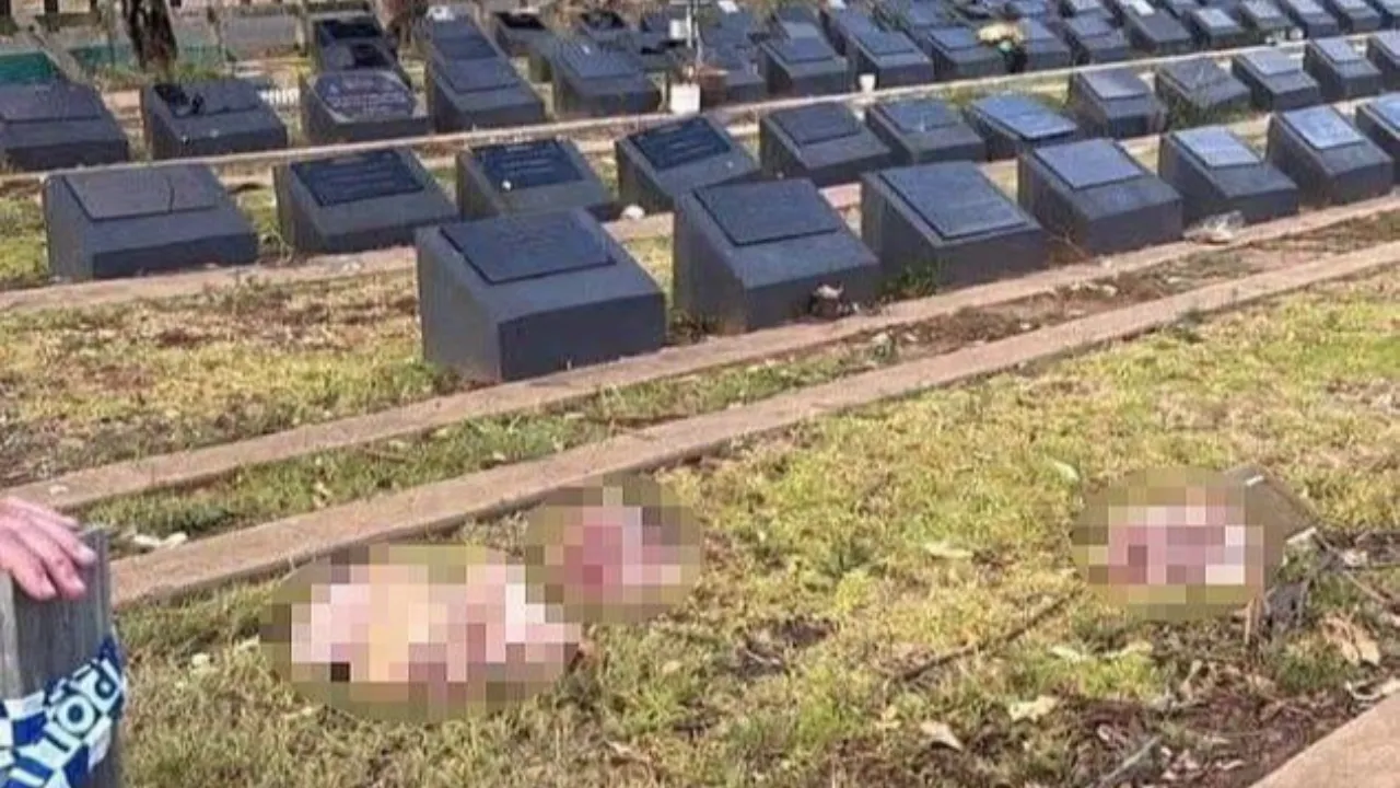 Sydney saldırısından sonra Avustralya’da Müslüman mezarlığına çirkin saldırı!