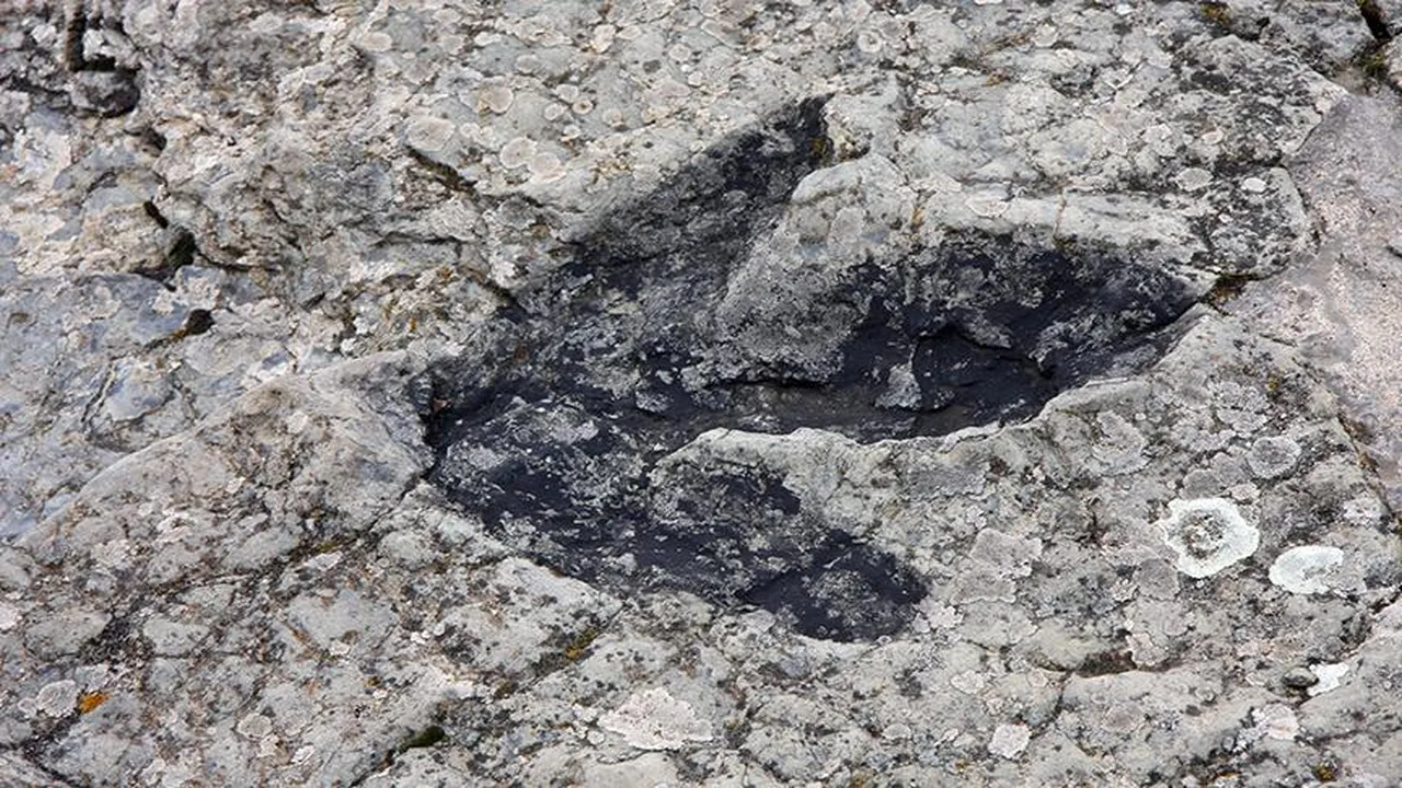 İtalya'da 200 milyon yıl öncesinden kaldığı düşünülen binlerce dinozor ayak izi keşfedildi