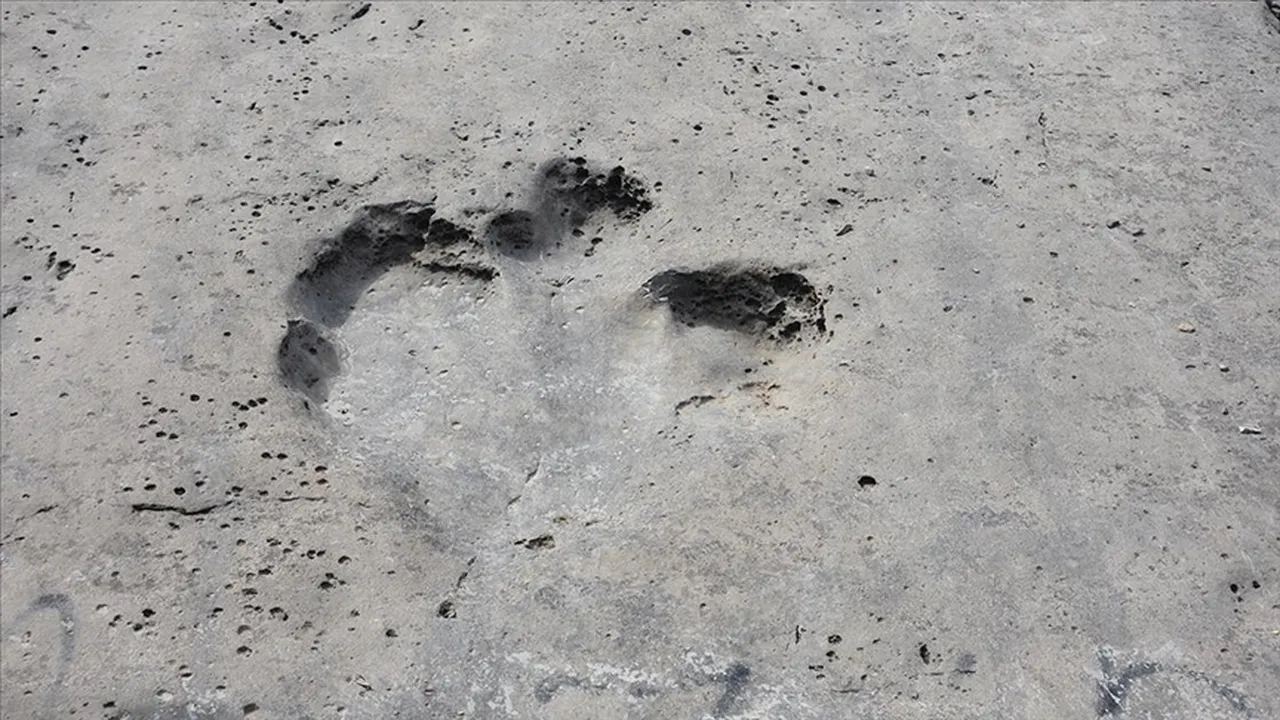 İtalya'da 200 milyon yıl öncesinden kaldığı düşünülen binlerce dinozor ayak izi keşfedildi