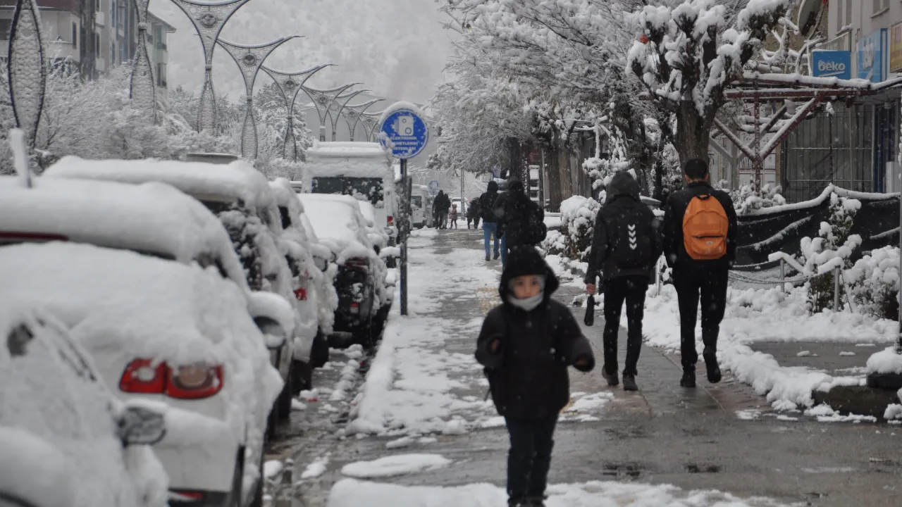 22 ilde kar yağışı! Kuzey ve doğu kesimler beyaza büründü