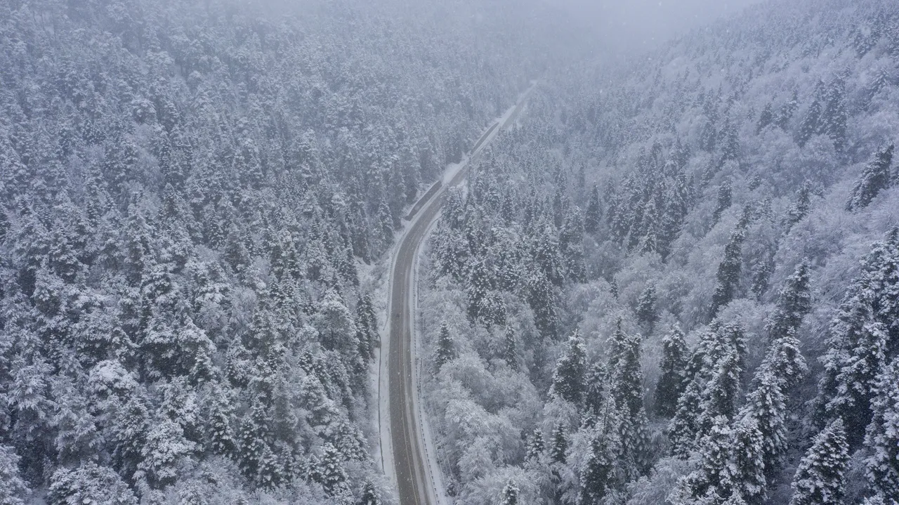22 ilde kar yağışı! Kuzey ve doğu kesimler beyaza büründü