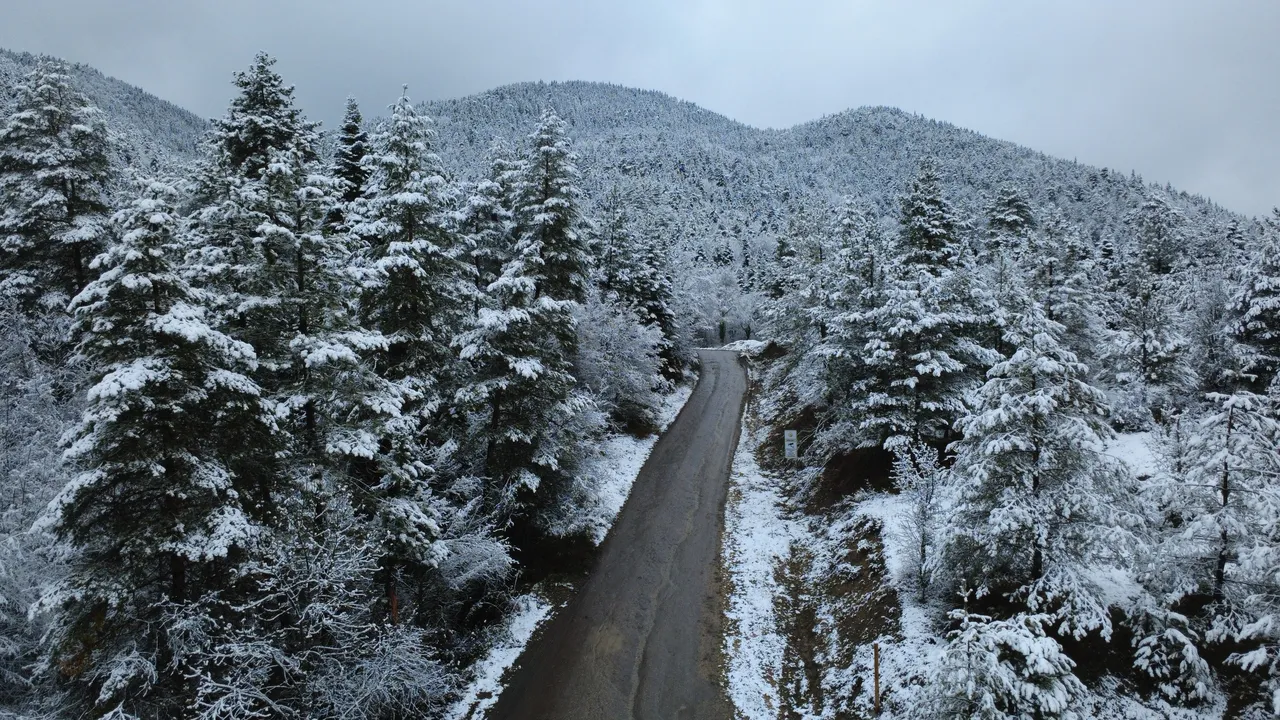 22 ilde kar yağışı! Kuzey ve doğu kesimler beyaza büründü