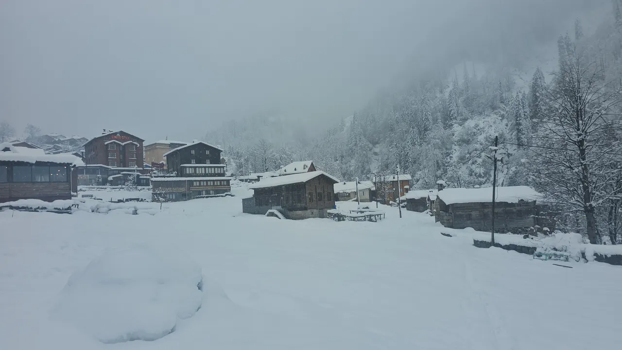 22 ilde kar yağışı! Kuzey ve doğu kesimler beyaza büründü