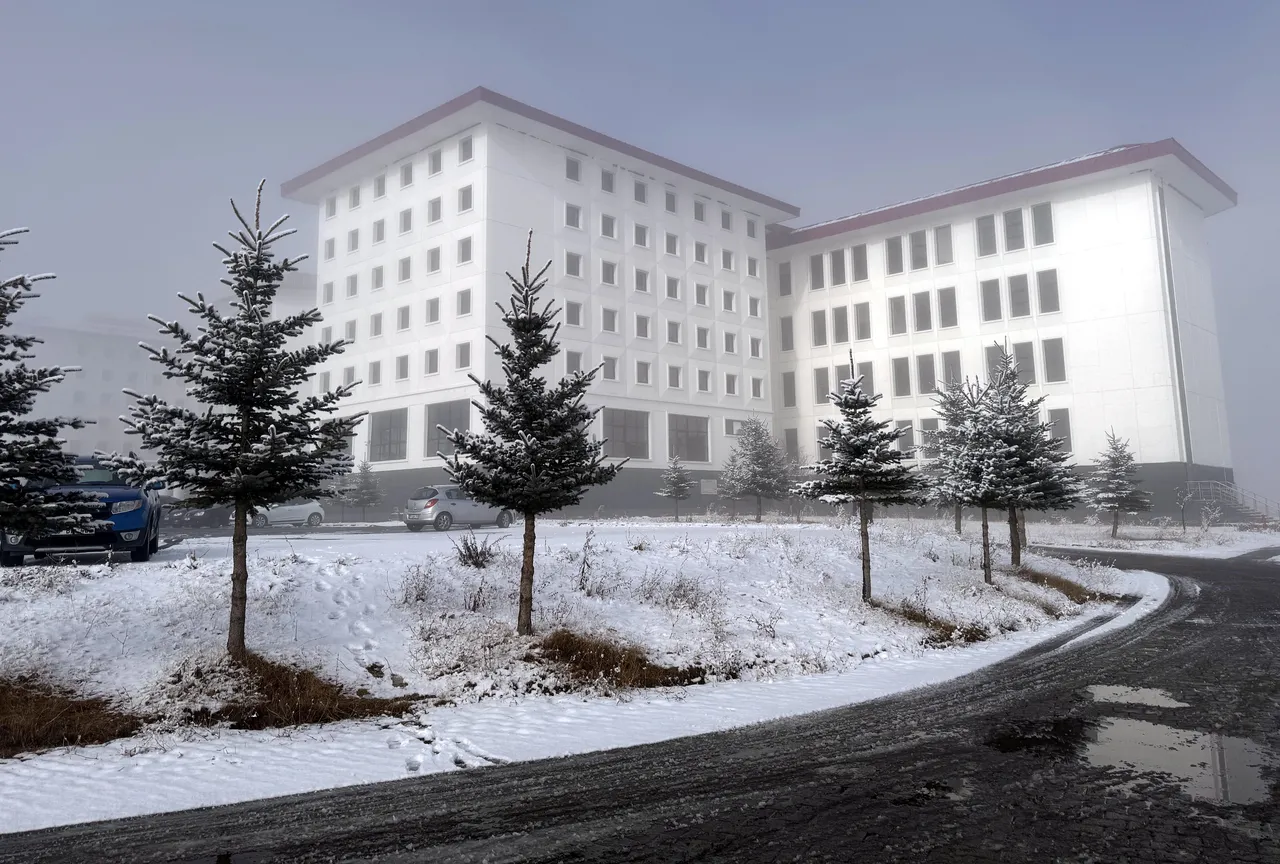 22 ilde kar yağışı! Kuzey ve doğu kesimler beyaza büründü