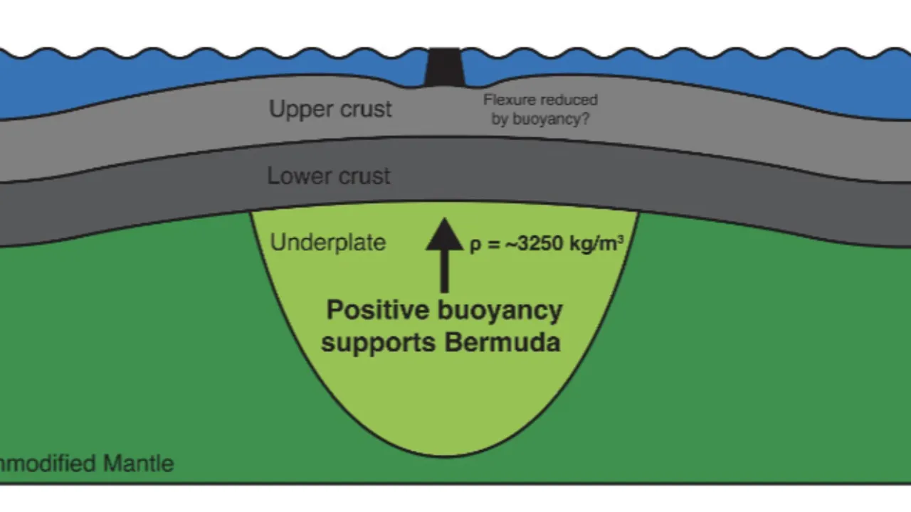 Bermuda Şeytan Üçgeni'ndeki kayıpların nedeni 