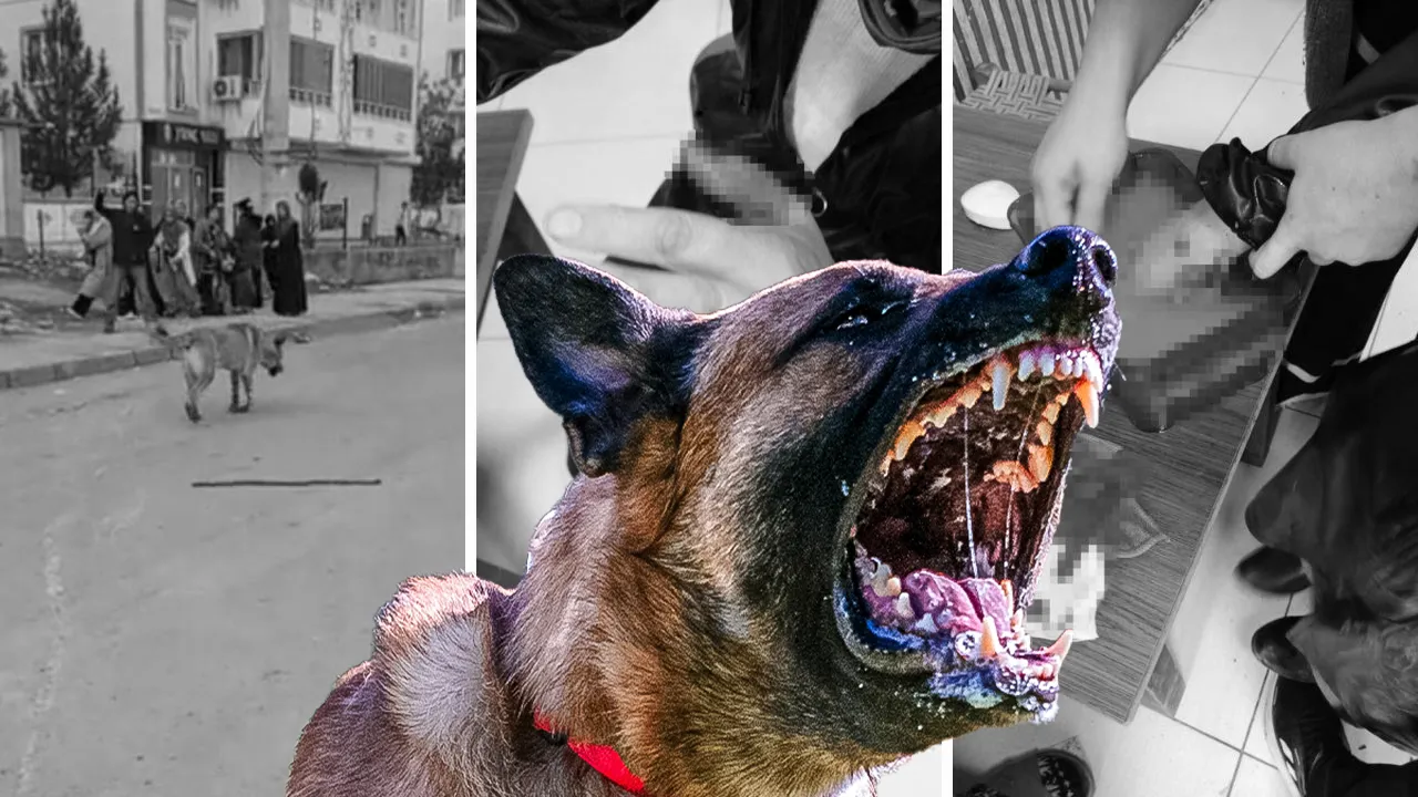 KALABALIĞA SALDIRDI